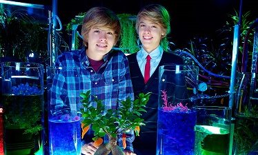 Zack y Cody: La Película (2011)